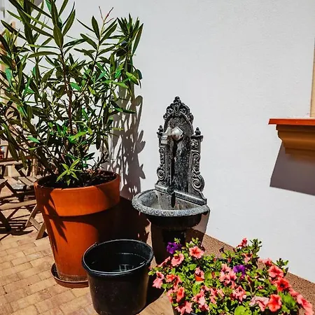 Pensión Lederer 3*
