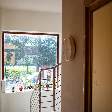 Lederer Guest house *