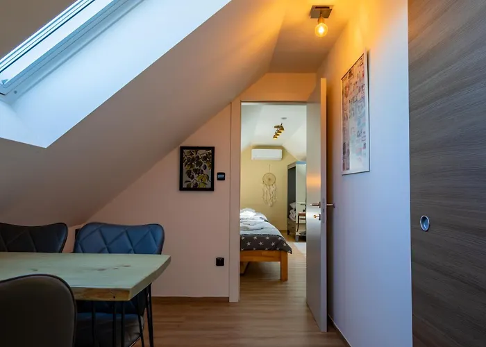 Lederer Guest house